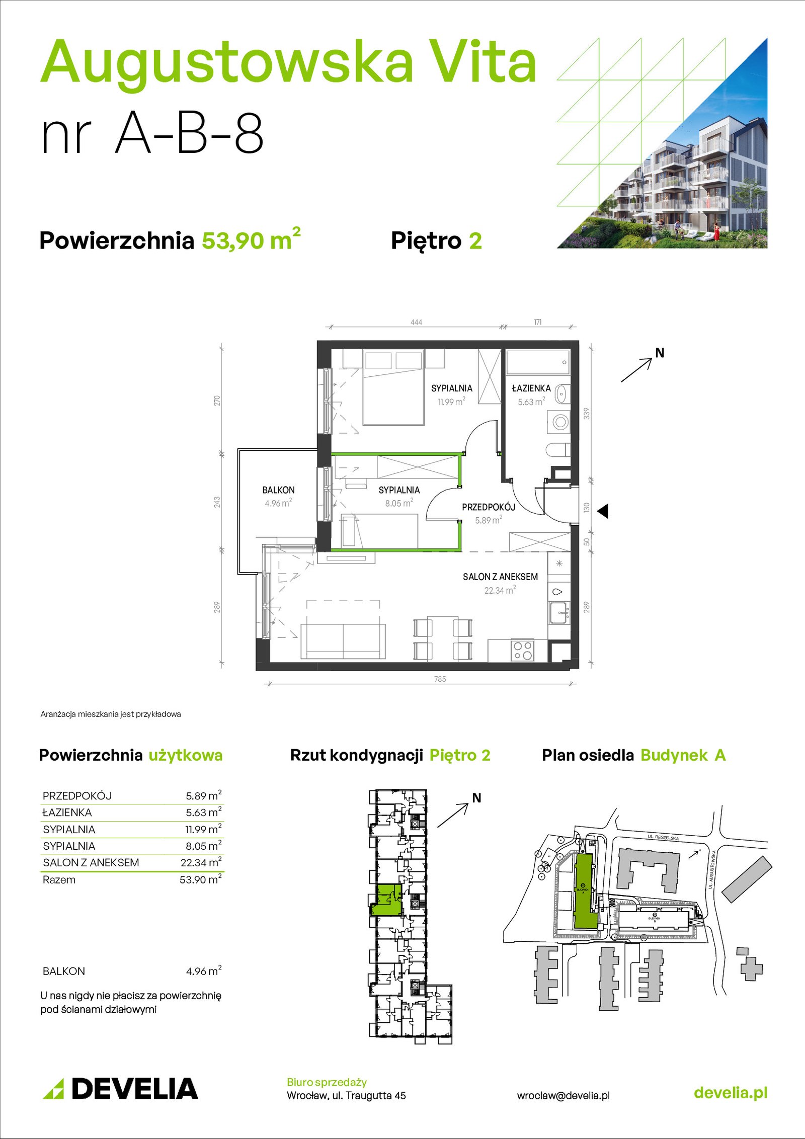 Rzut A/B/8 — Augustowska Vita